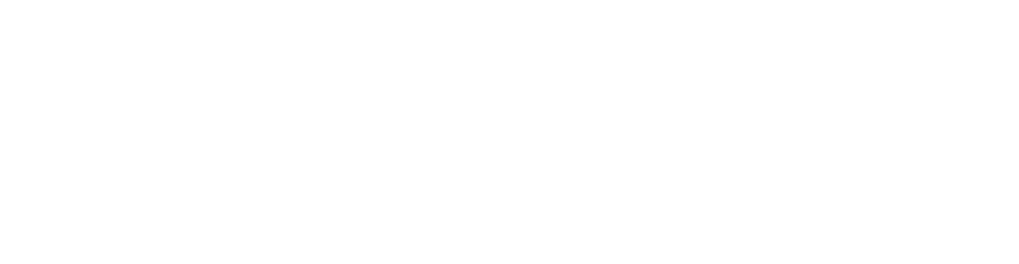 Dr. Flex Logo